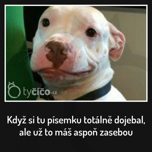 POísemka