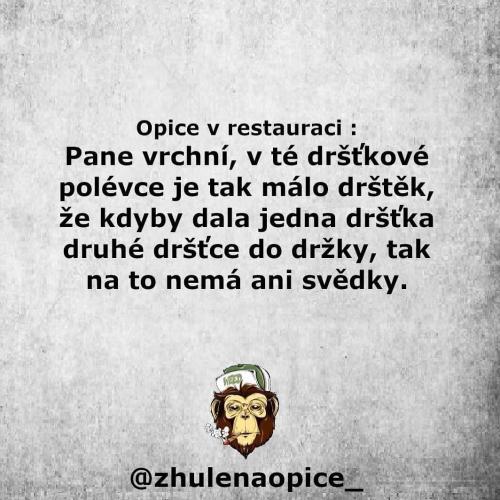  Opice 