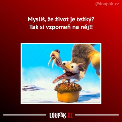  Život 