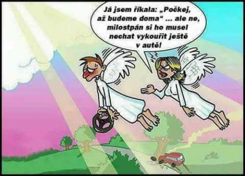Vykouřit