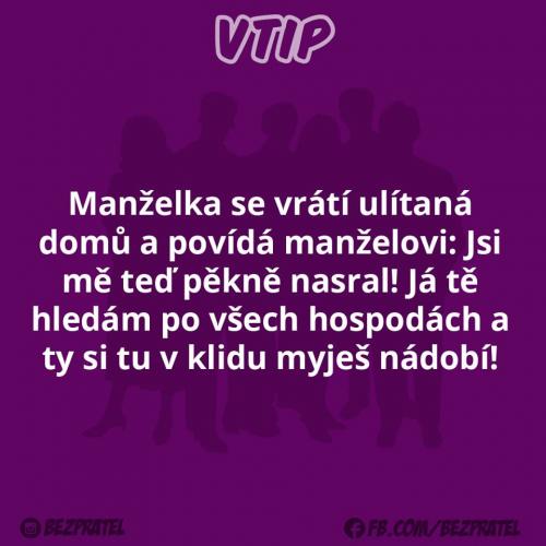  Manželka 