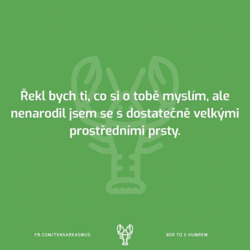 Myslím