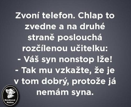  Zvoní telefon 