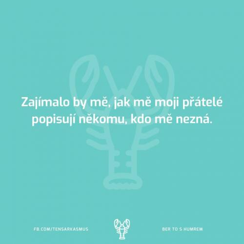 Zajímalo by mě