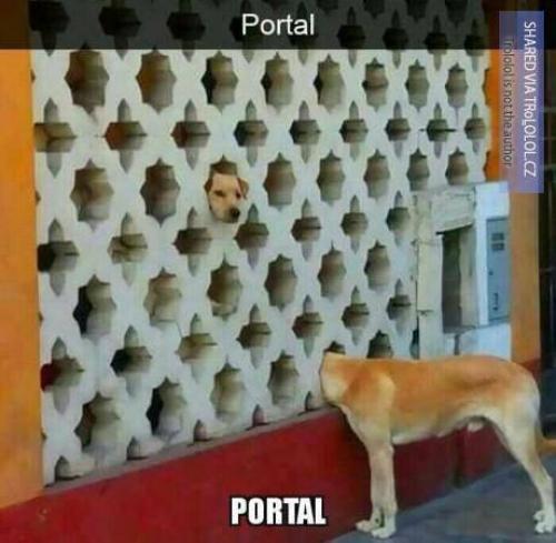  Portal 