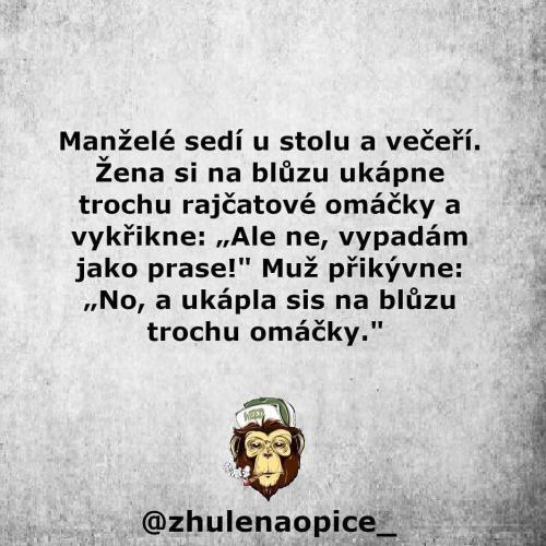  Manželé 