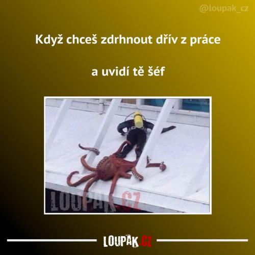 To by se asi nemělo stávat