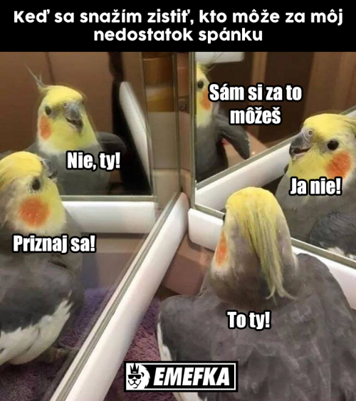  Spánek 