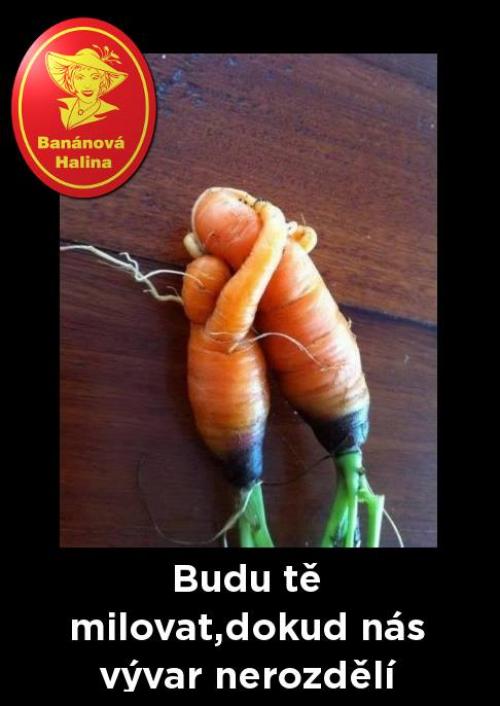 Nerozdělí