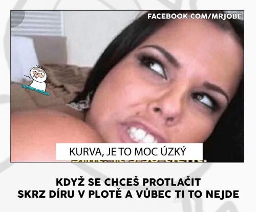  Nejde 