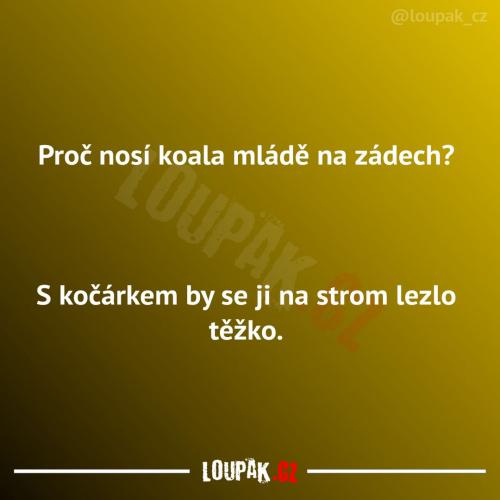  Tohle je zajímavé vysvětlení 