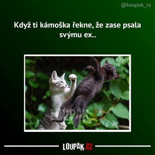 Kámoška