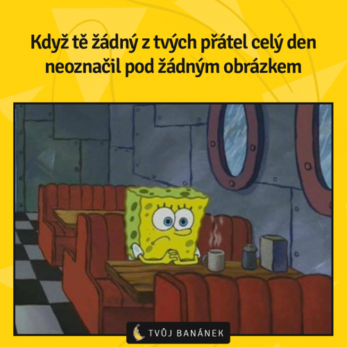  Žádný obrázek 