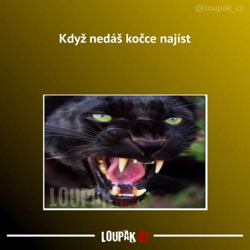  To by se asi nemělo stát 