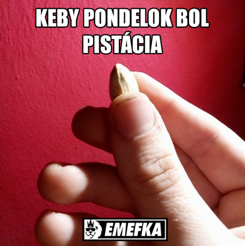  Pondělí 