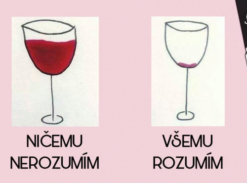 Nerozumím