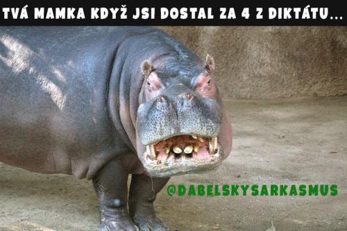 Diktát