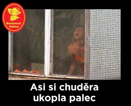 Paleček
