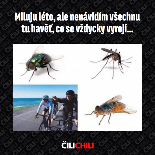 Miluju léto