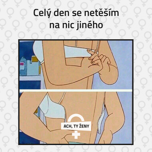  Celý den 