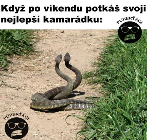 Kamaárdka