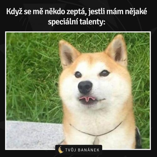  Speciální talent 