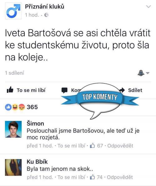 Iveta