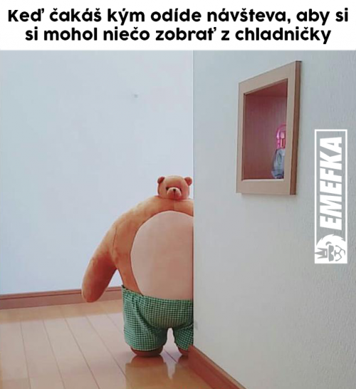  Návštěva 