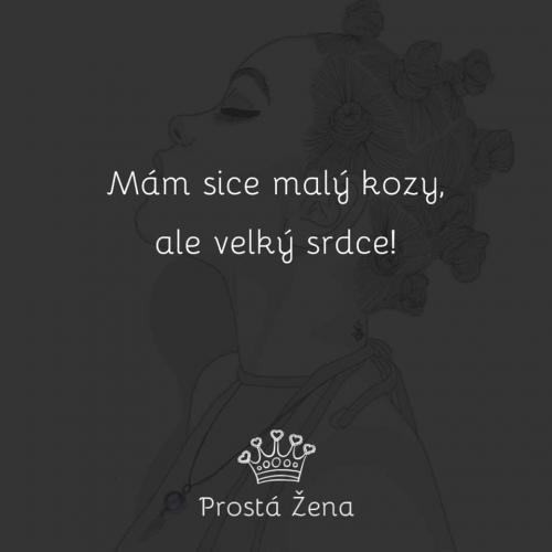  Velký srdce 