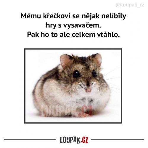  Asi to moc nebylo ideální 