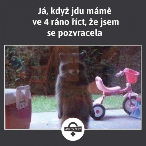  To nechceš 