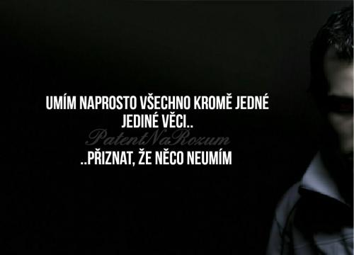  Naprosto vše 