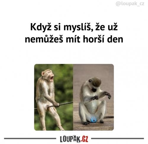  Už to nemůže být horší 