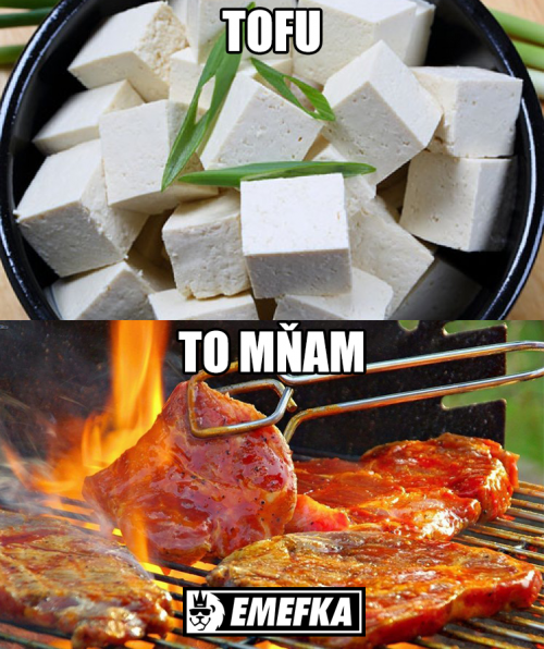  Daš si radši Tofu nebo to Mňam? 