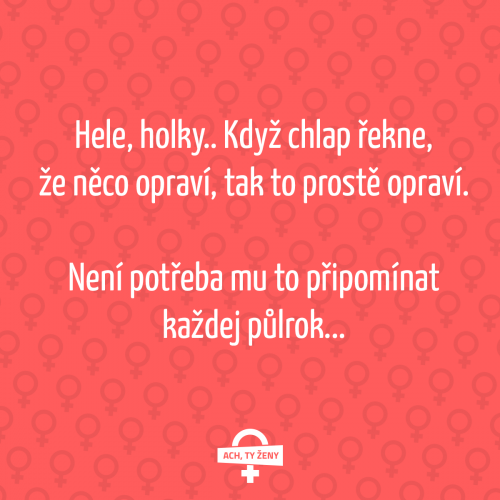  Hele, holky 