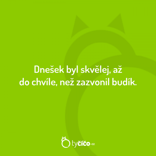 Skvělej