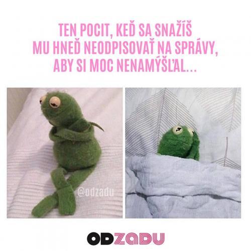  Zprávy 