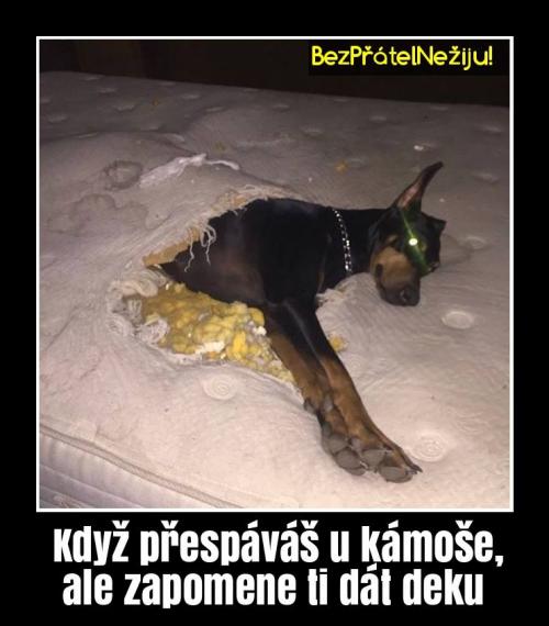  Kámoš 