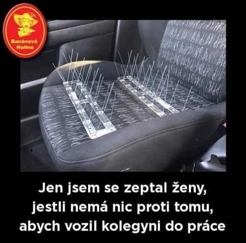  Žena 