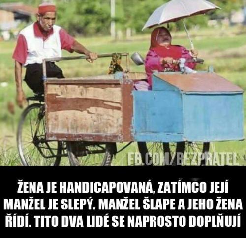 Doplňují se