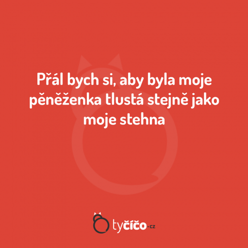 Přál bych si to