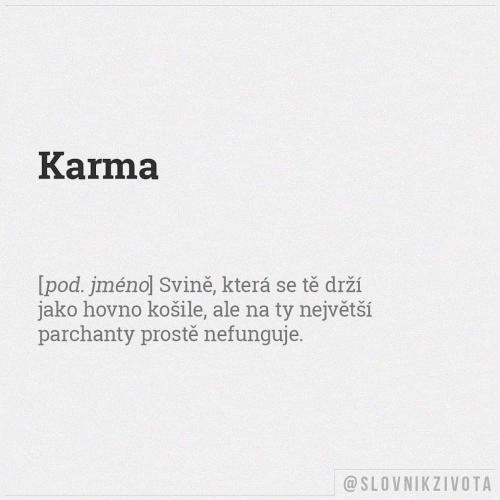  Karma 