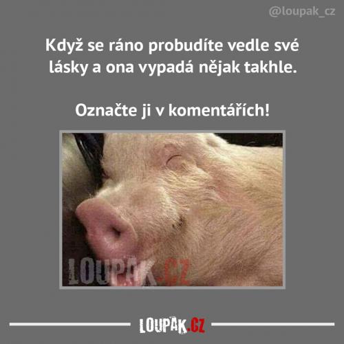  Láska 