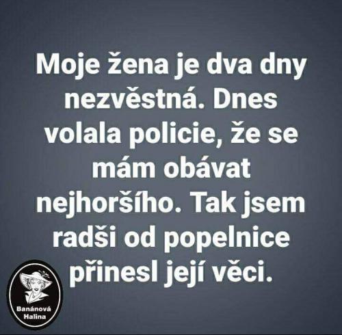 Nezvěstná