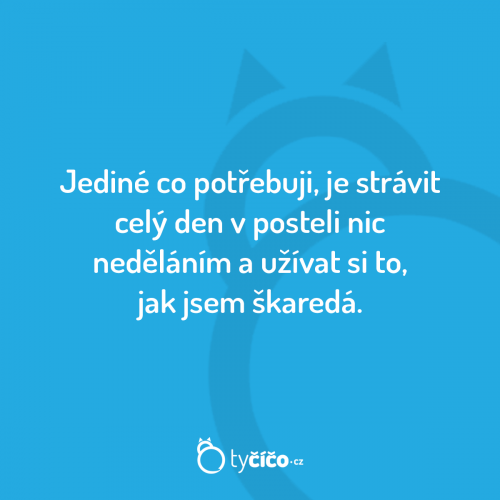 Potřbeuji