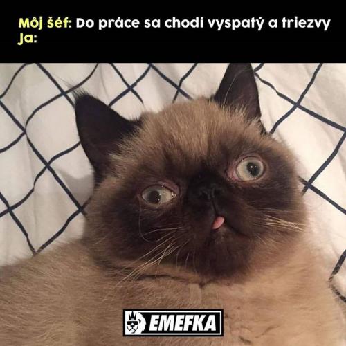  Práce 