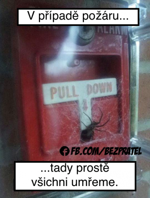 Umřeme