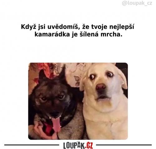  Asi nebude úplně v pořádku 