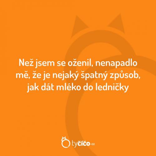  Lednička 