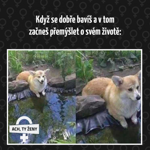  Když se bavíš 